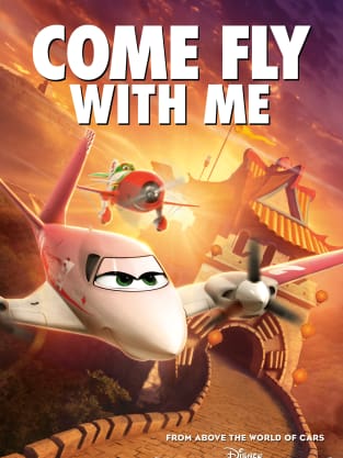 Plane Poster - Fly