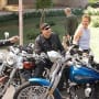 Wild Hogs Picture