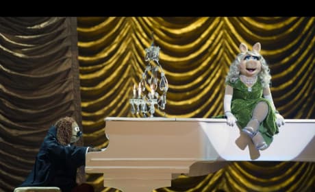 Miss PIggy Muppets Most Wanted