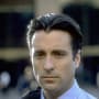 Andy Garcia Picture