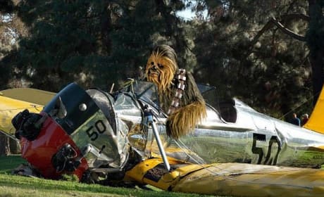 Harrison Ford Plane Crash Wookie