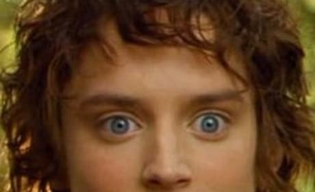 Elijah Wood: Excited About The Hobbit