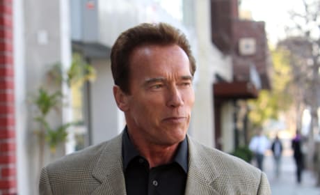 Arnold Swarzenegger to Star in Lionsgate Film The Last Stand