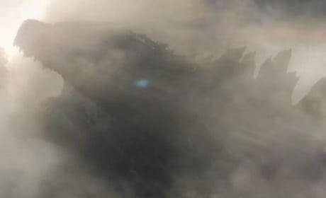 Godzilla Monster Photo