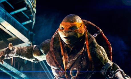 Teenage Mutant Ninja Turtles Raphael