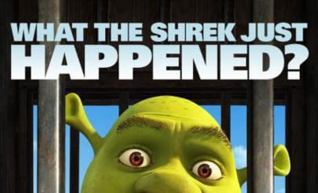 Witty Taglines Head Up Shrek Forever After Character Posters
