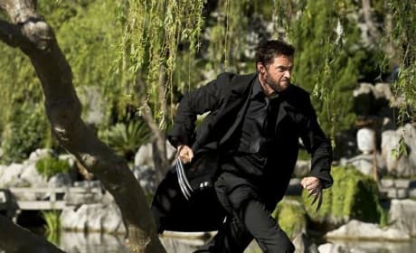 The Wolverine Slices to Top Spot: Weekend Box Office Report 