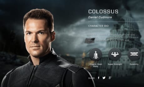 X-Men Days of Future Past Colossus Bio Banner