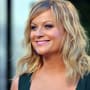 Amy Poehler Red Carpet Picture