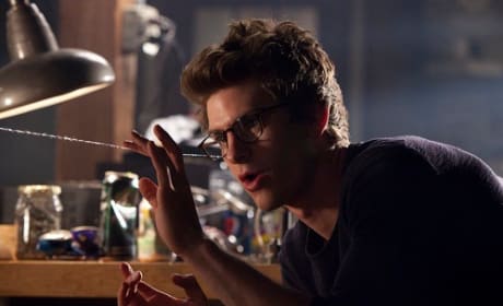 The Amazing Spider-Man: Peter Parker Picture