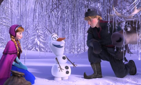 Frozen Still