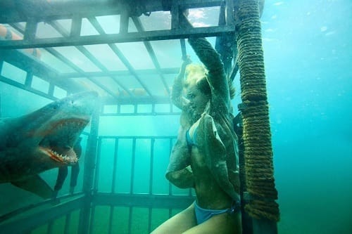 Sara Paxton in Shark Night 3D
