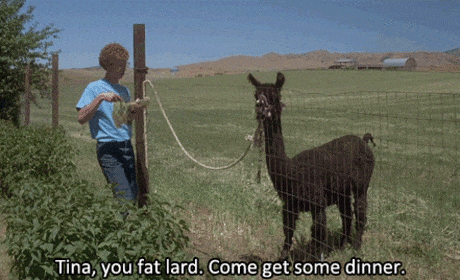 Napoleon Dynamite Gif