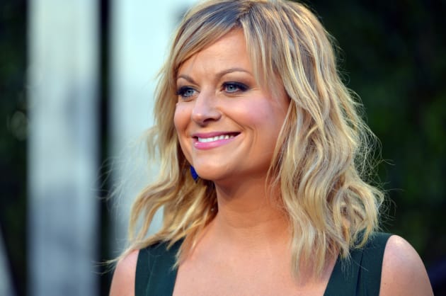 Amy Poehler Red Carpet Picture