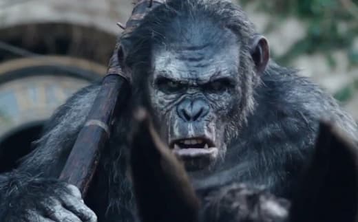 Dawn of the Planet of the Apes Ape Still