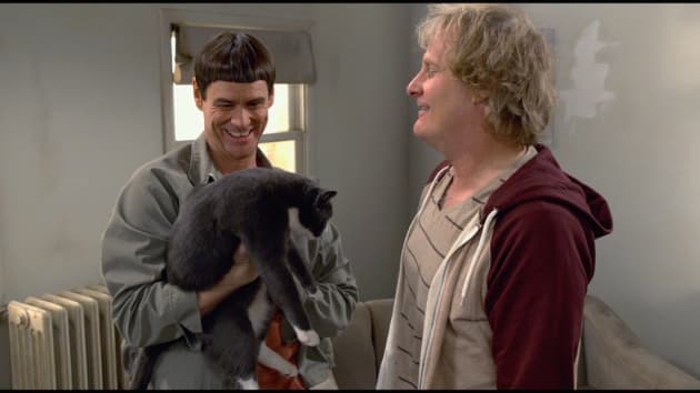 Jim Carrey Jeff Daniels Star Dumb and Dumber To