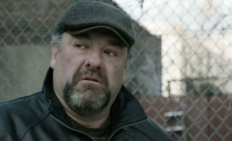 Top 11 James Gandolfini Movie Roles: A Legend Lost