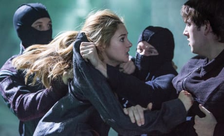 Divergent: Shailene Woodley and Theo James on World of Veronica Roth