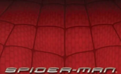 Spider-Man Reboot Promo Poster
