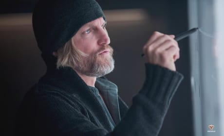 Mockingjay Woody Harrelson