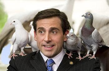 Bird Brained