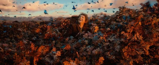 The Hobbit: Desolation of Smaug Martin Freeman