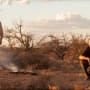 The Rover Robert Pattinson Guy Pearce
