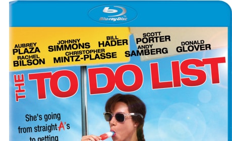 The To Do List DVD Review: Aubrey Plaza Breaks Out