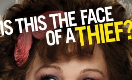 Identity Thief Character Posters: Melissa McCarthy and Jason Bateman's Faces