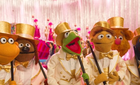 Muppets Most Wanted Kermit the Frog