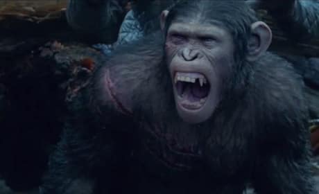 Dawn of the Planet of the Apes Photo Still