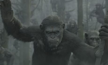 Dawn of the Planet of the Apes Cast Chat Sequel: First Caesar Image Revealed