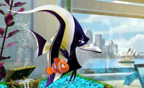 Gill and Nemo