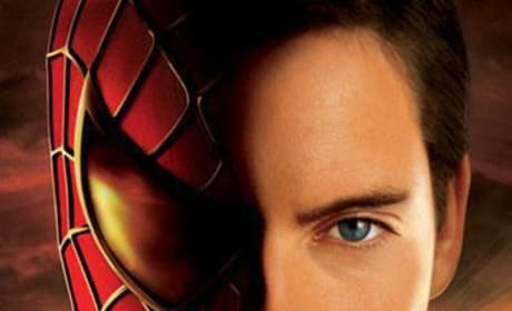 Spider-Man 2 Picture