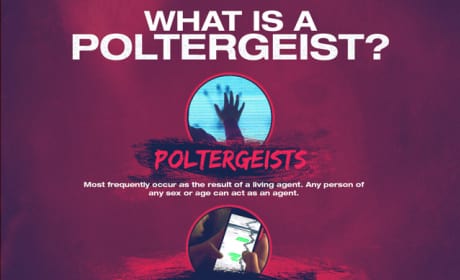 Poltergeist Infographic