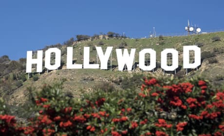 Hollywood Sign Photo