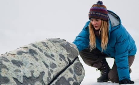 Drew Barrymore Stars in Big Miracle