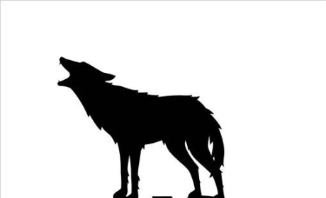The Hangover 3 Logo Revealed: The Wolfpack Returns