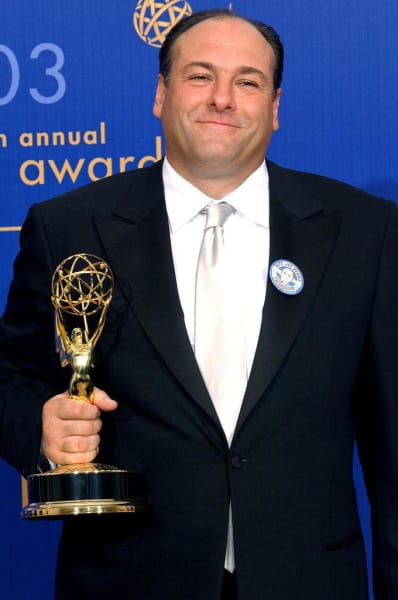 James Gandolfini Picture