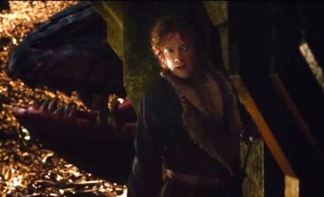 Smaug in The Hobbit: The Desolation of Smaug