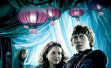 Ron Poster