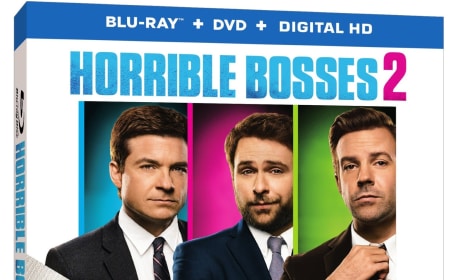 Horrible Bosses 2 DVD Review: Graduating From Murder to Kidnapping
