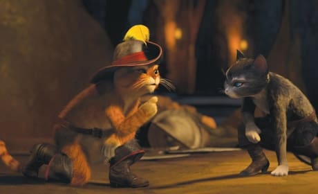 Antonio Banderas and Salma Hayek in Puss in Boots