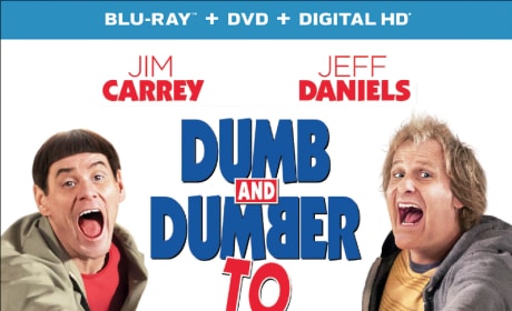 Dumb and Dumber To DVD