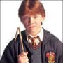 Ron Weasley Picture