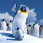Elijah Wood Stars in Happy Feet 2
