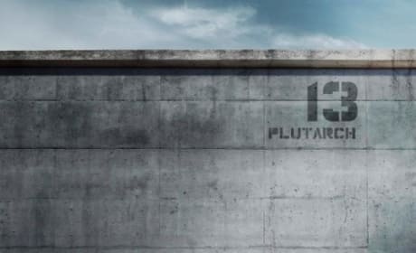 Mockingjay Part 1 Philip Seymour Hoffman Poster