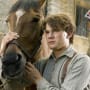 Jeremy Irvine Stars in War Horse