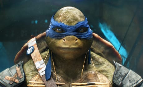 Teenage Mutant Ninja Turtles Movie Still