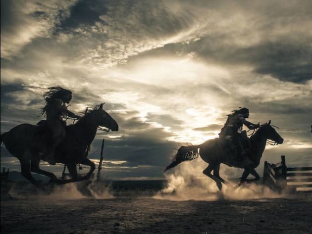 The Lone Ranger Horses